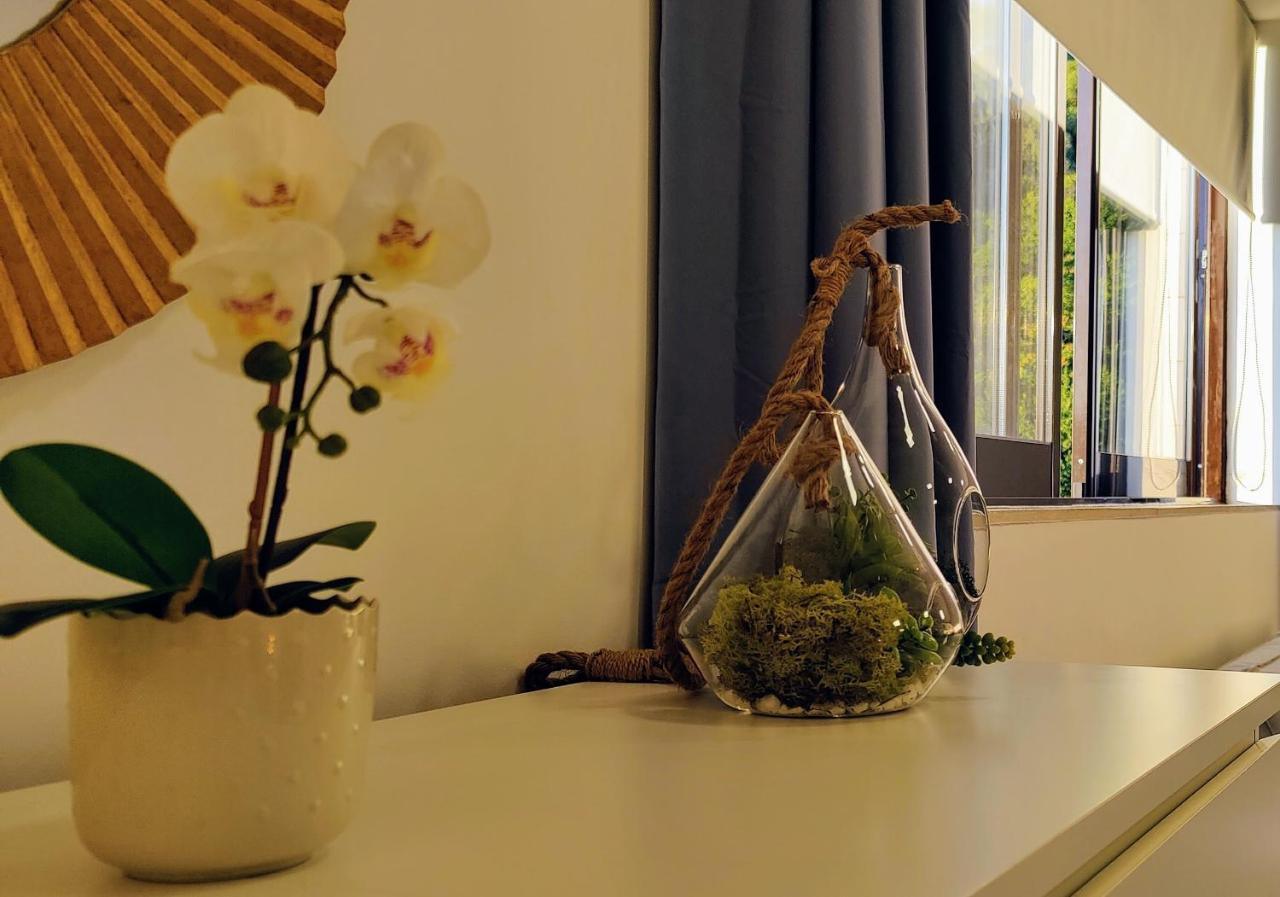 Stylish And Elegant Studio - Best View And Location In Coimbra Downton Exterior foto